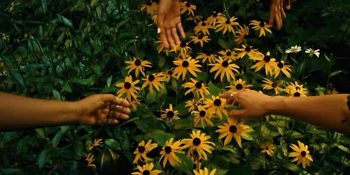 Dominique Fils-Aim\u00e9 in Den Haag