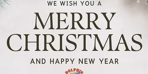 \ud83c\udf84 Christmas Dolphin Tours in Galveston