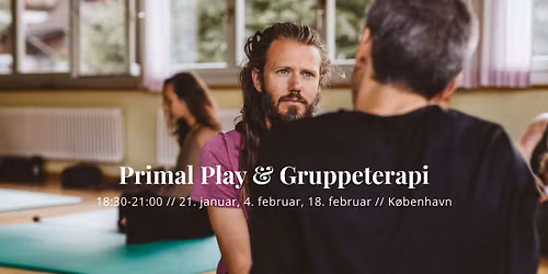 Primal Play & Gruppeterapi