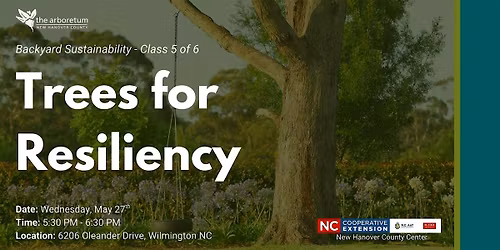 Backyard Sustainability Series: Trees for Resiliency