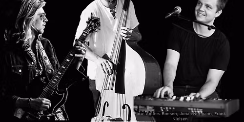 \ud83c\udfb6\u2600\ufe0f Honky Tonk Three - pr\u00e6senteres af Blueskartellet i Britta's Have