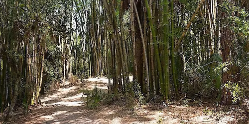 Treasures of the Trail: A hike along the Estero River