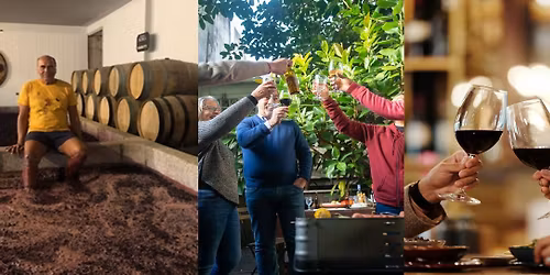 23\/35 Fra i morgen vil du elske portvin!