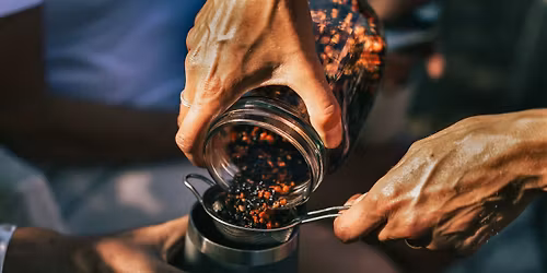 Winter herbal remedy making workshop