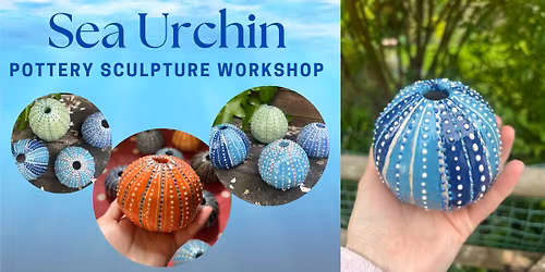 Sea Urchin Pottery Workshop