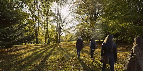SPRING FOREST BATHING - AM SESSION