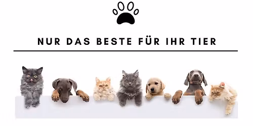 1. Weihnachtszaubermarkt