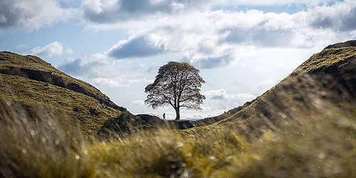 On Sycamore Gap