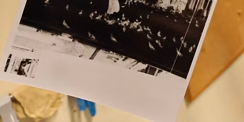 Analog photography workshop series- Develop your B&W photo skills