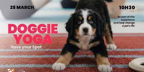 DOGGIE YOGA