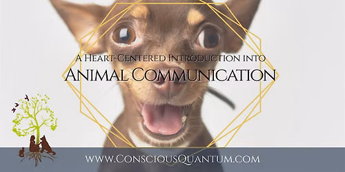 The Art of Animal Communication & Energy Healing | Connect With Your Dog