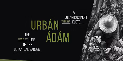 Urb\u00e1n \u00c1d\u00e1m: A botanikus kert titkos \u00e9lete | Egy \u00e9v a v\u00e1cr\u00e1t\u00f3ti Nemzeti Botanikus Kertben