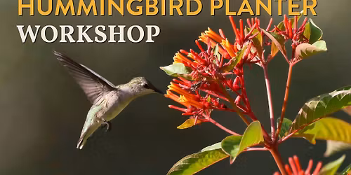 2026 Hummingbird Planter Workshop #2
