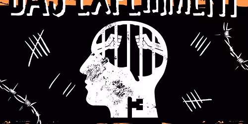 Das Experiment (Thriller)