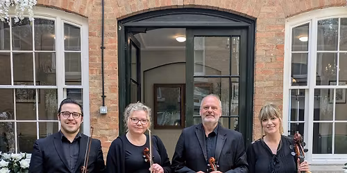 Vitula String Quartet: Timeless Hits on Strings