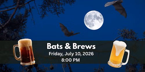 Bats & Brews