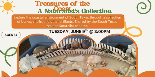 Treasures of the Coast: A Naturalist's Collection