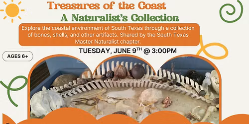 Treasures of the Coast: A Naturalist's Collection