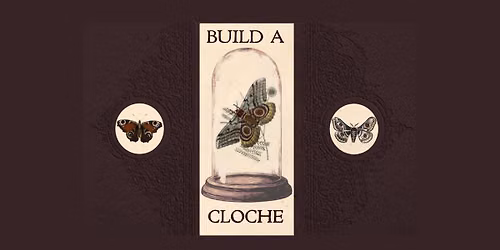 September Entomology - Cloche Workshop