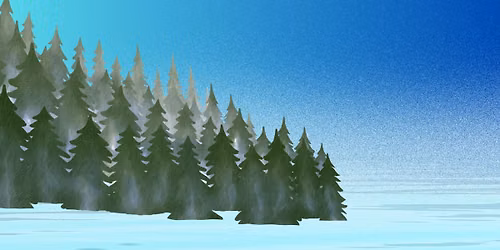 Where the Forest Meets the Sea (Calistoga Library)