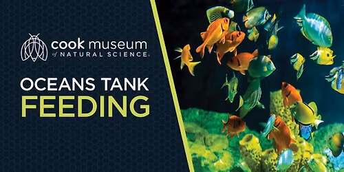Oceans Tank Feeding