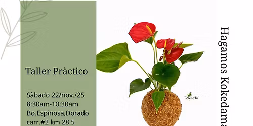 Taller Hagamos Kokedama