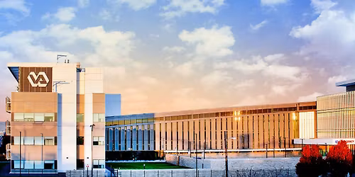 New Year, WHOLE You-Aurora