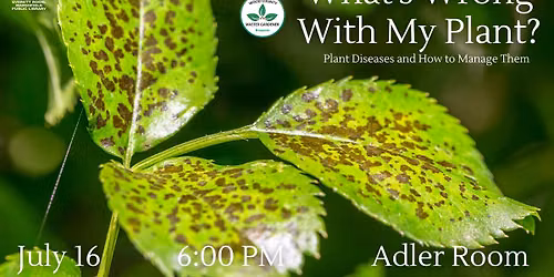 What's Wrong with My Plant with Wood County Master Gardeners