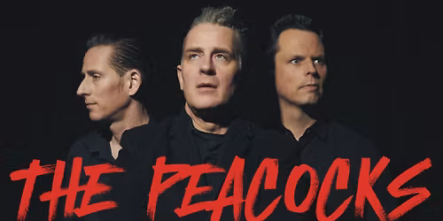 Live: THE PEACOCKS | "Rockabilly-Style of Punk Rock" \u2013 Stuttgart \/ Goldmark's + NECKARIONS