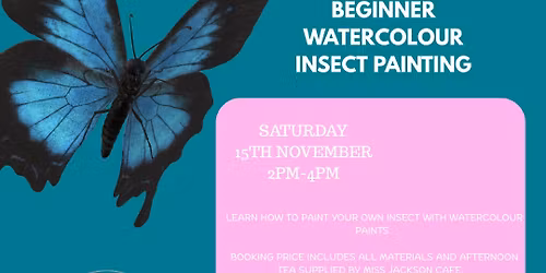 Beginner Watercolour Insect Painting - Adult Workshop