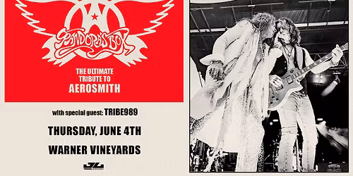 Pandora's Box: The Ultimate Aerosmith Tribute at Warner Vineyards