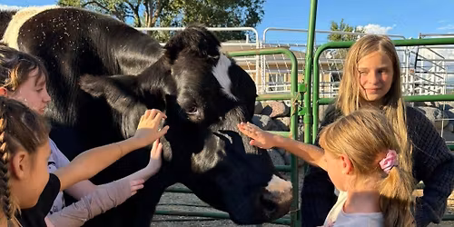 Holsteins \u2018n Horses Christmas fundraiser