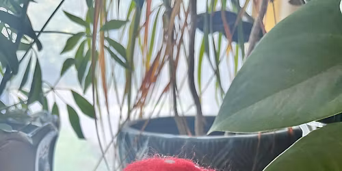 Needle Felted Mushrooms