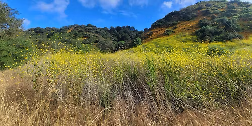 Neuro-Botany: A Tactical Foraging Hike Unique to San Diego