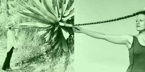 Anna F\u00e4lt and Ira Had\u017ei\u0107 - Night 2