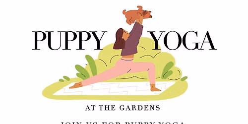 Puppy Yoga with Big Dog Ranch Rescue