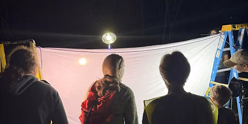 Moth Lighting at Rock Point