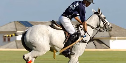 Polo rally with Hampshire Polo School
