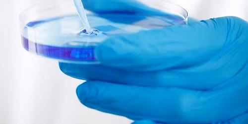 Pathologie f\u00fcr Lebende \u2013 der Blick durchs Mikroskop f\u00fcr Patient*innen