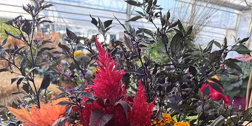 Fall Porch Pot Class