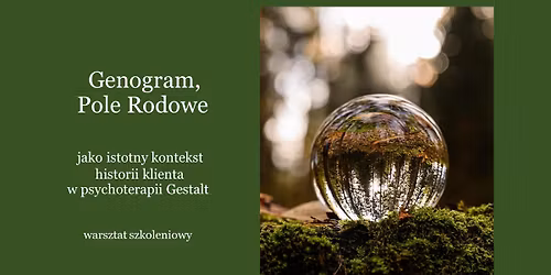 Genogram, Pole Rodowe w psychoterapii Gestalt