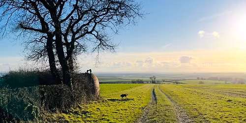 Lyscombe Hill Spring Ridge Walk 