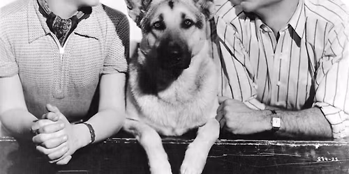 Tough Guy - Joseph Calleia Film Nights