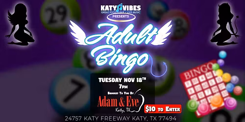 \ud83c\udfb2 Adult Bingo at Katy Vibes! \ud83c\udfb2