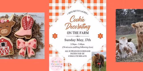Cookie Decorating & Cows