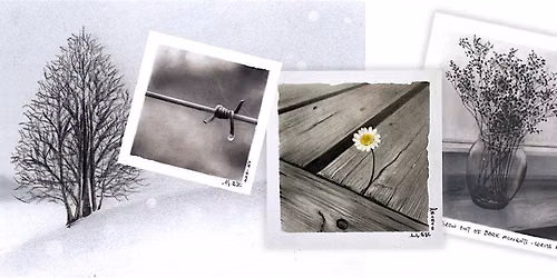 Nagomi Pastel Art Course (Black & White) by Audrey Ng
