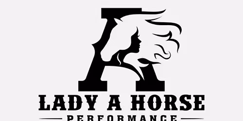 Horsemanship Overnight Clinic