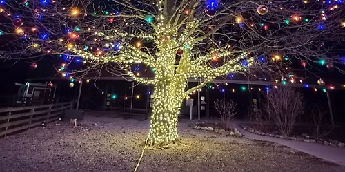 Barnabe\u2019s Buckeye Tree Lighting Ceremony at Young's Dairy