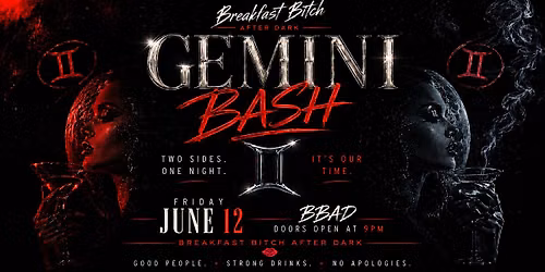GEMINI BASH