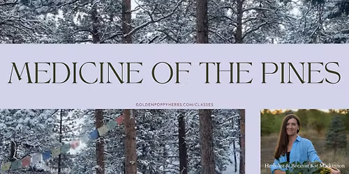 Medicine of the Pines with Kat Mackinnon